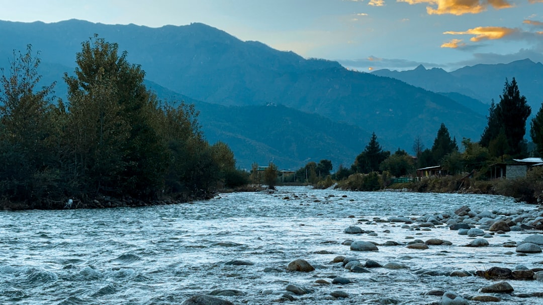 Tirthan Valley Trout Fishing Camp