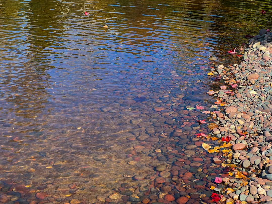 Best Dry Bags for Camping in India 2026