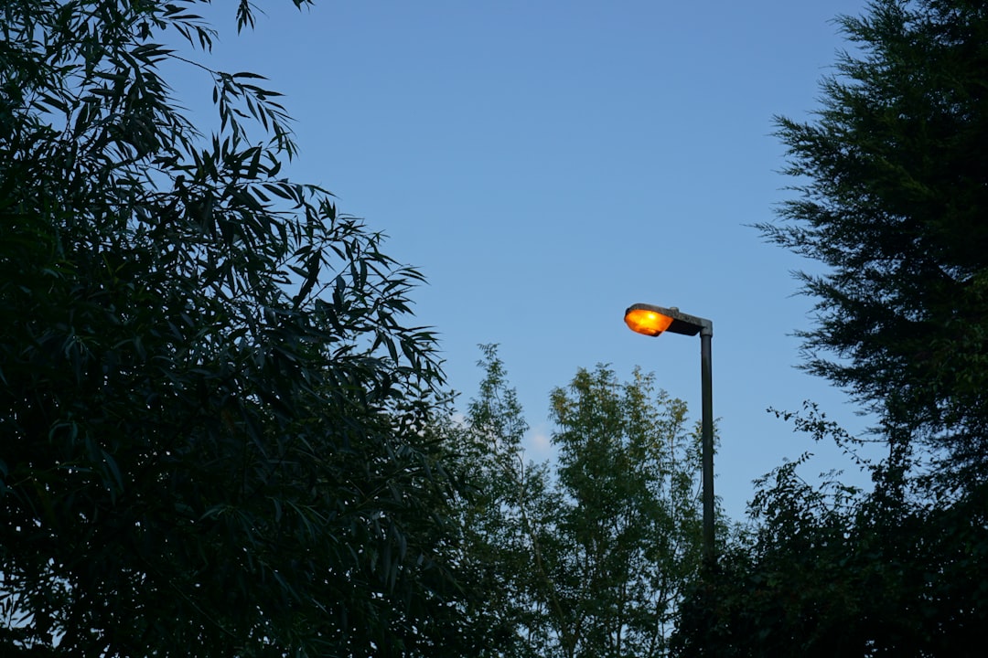 Best Headlamps for Camping in India 2026