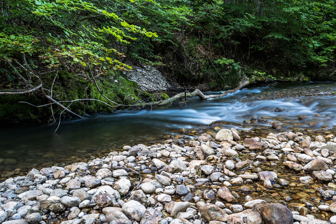 Best Water Filters & Purification for Trekking in India 2026
