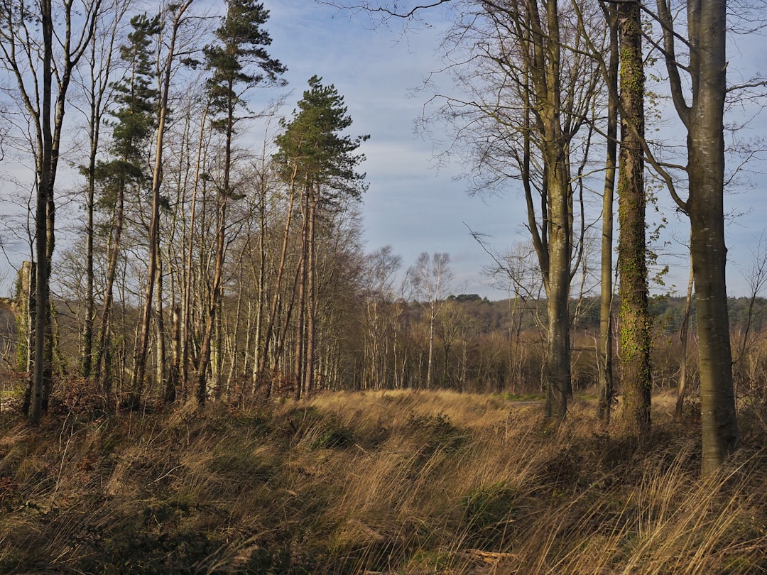 Best Camping Near Lucknow: 8 Sites in UP & Beyond