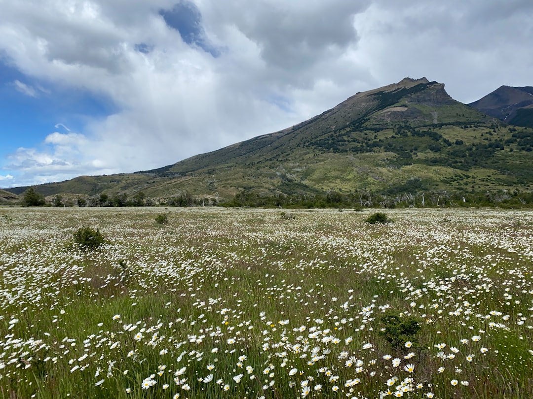 Dzukou Valley Trek